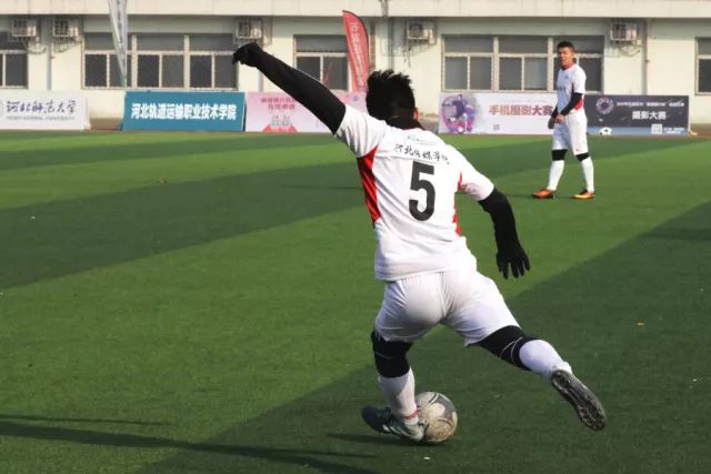 以球为媒促文体旅融合 200余名匹克球好手上演精彩对决